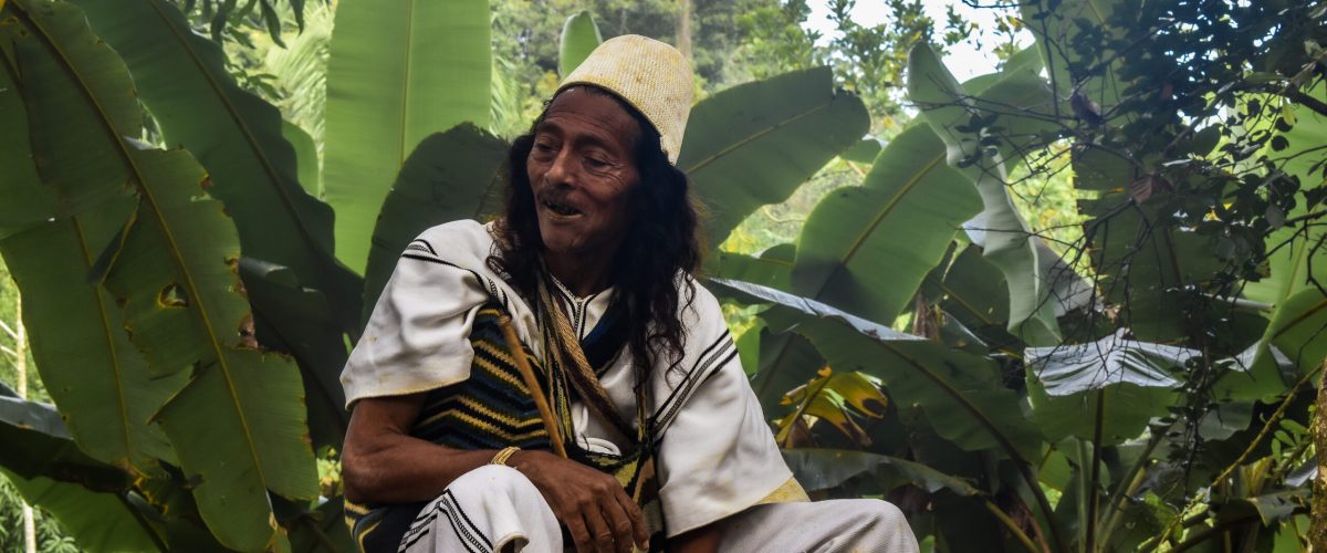 Indigeno in Colombia